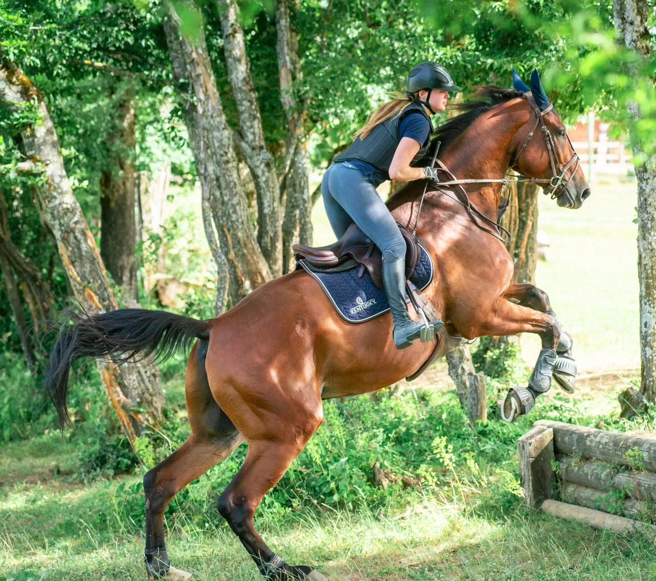 Équitation – lumière dorée